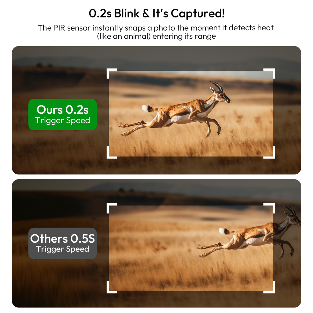 Solar Trail Cameras, Cellular Trail Cameras