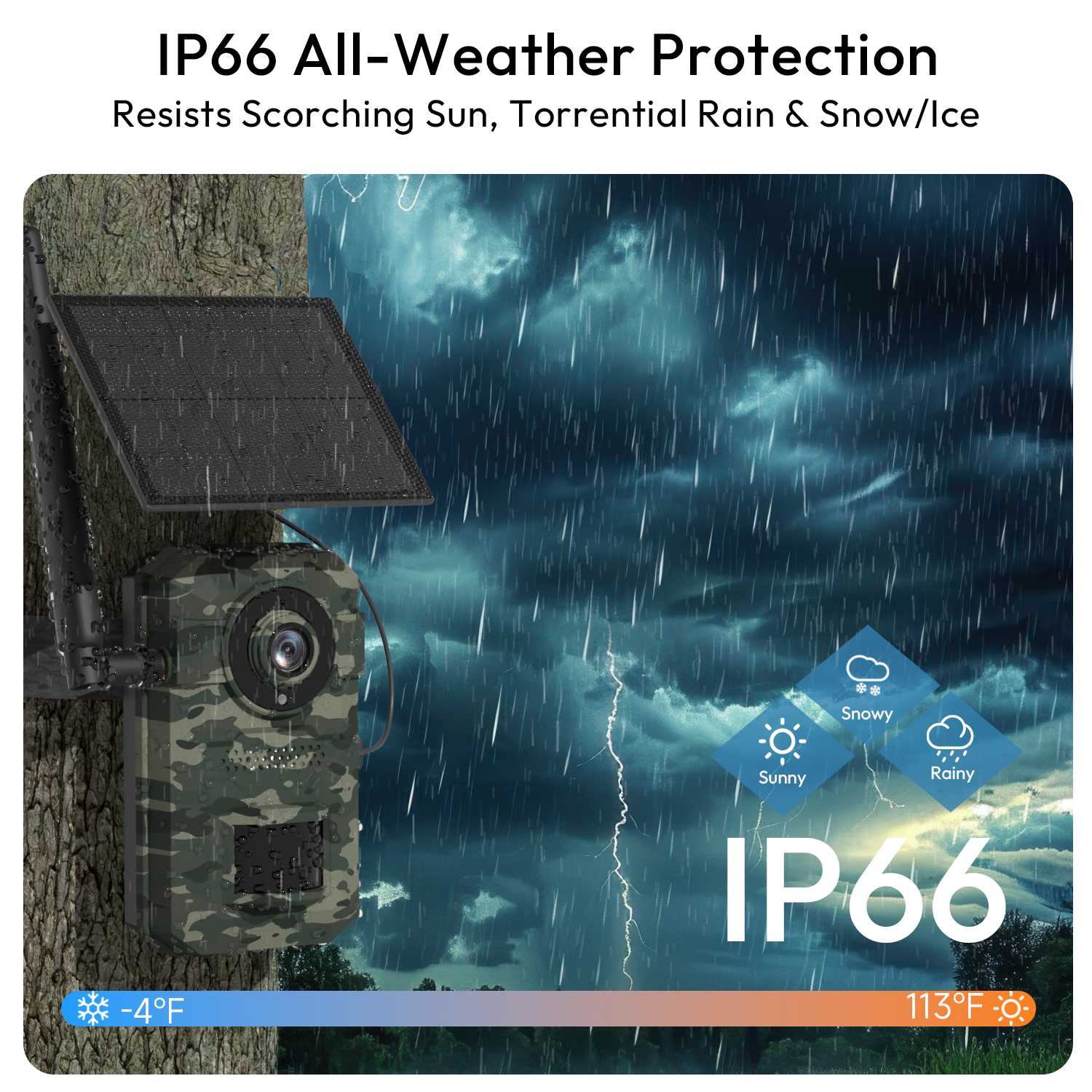 Solar Trail Cameras, Cellular Trail Cameras