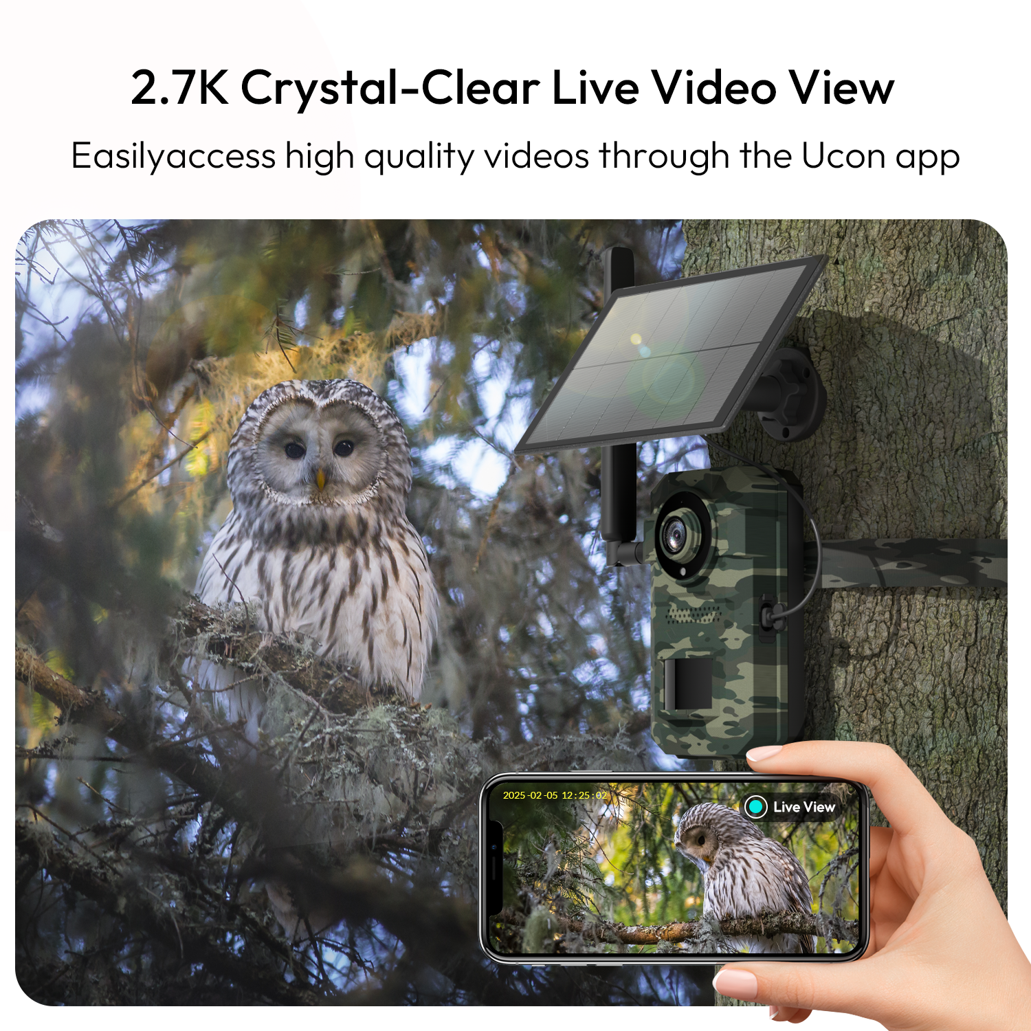Solar Trail Cameras, Cellular Trail Cameras