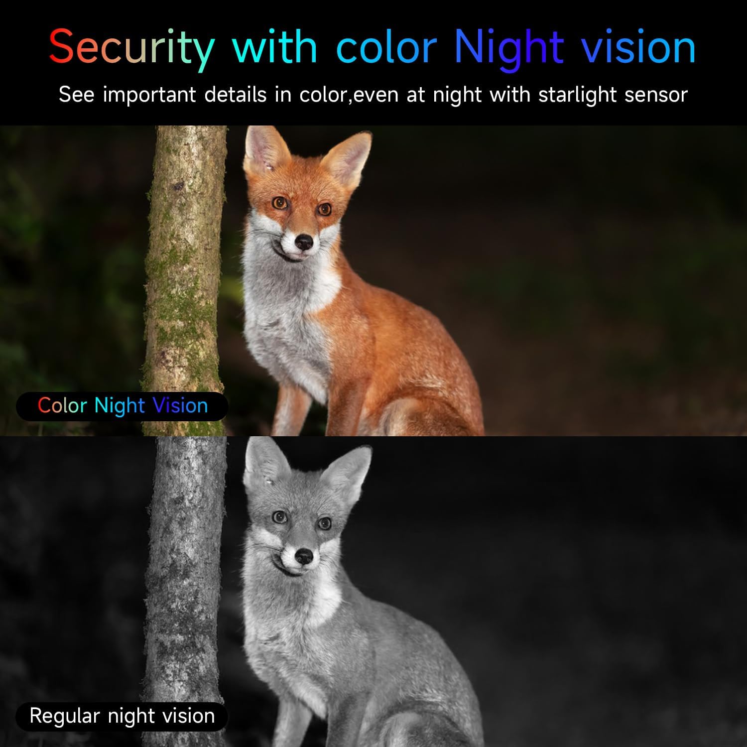 2K Wireless Outdoor Security Camera – Battery Powered, Indoor/Outdoor Surveillance for Home--C367