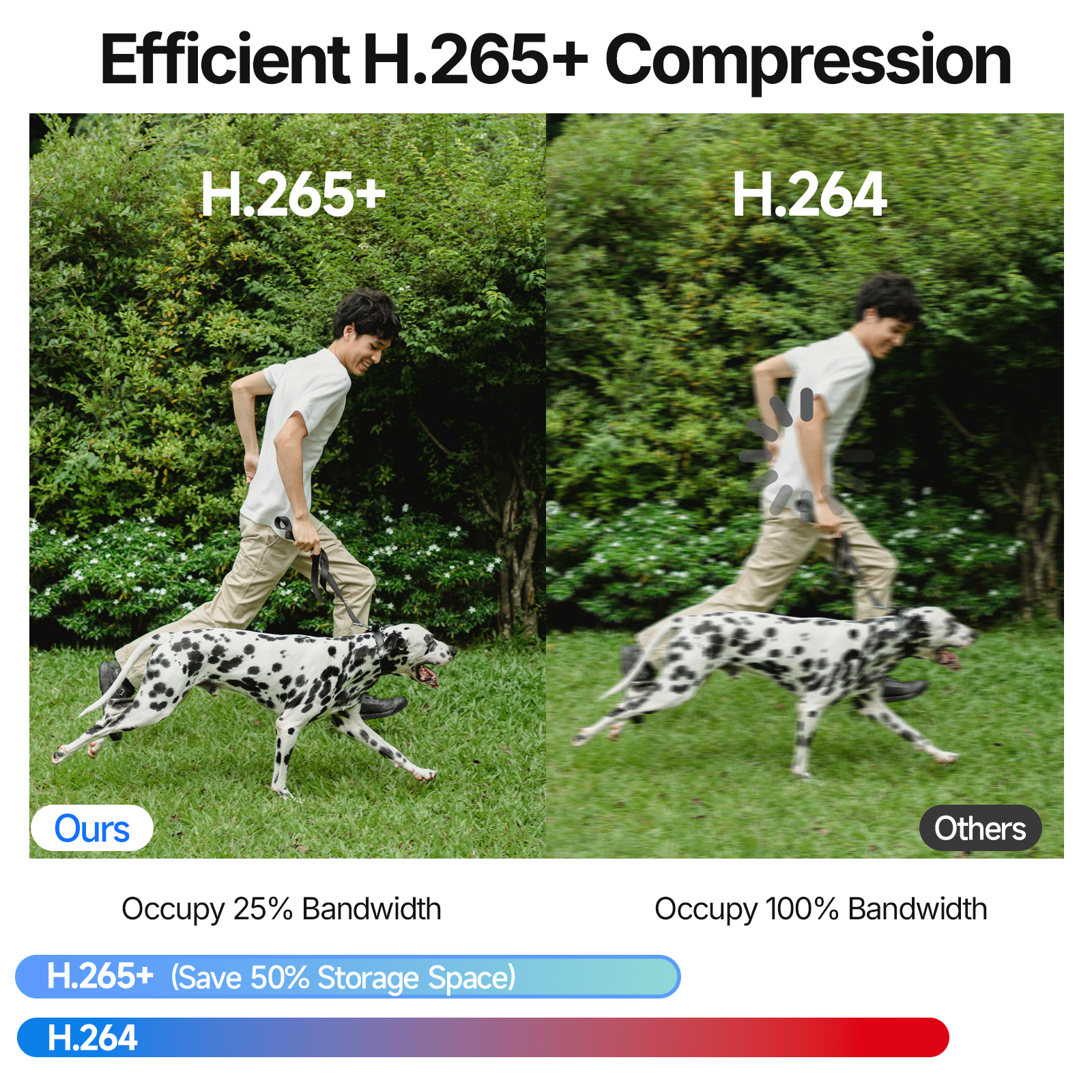 Rraycom 4CH POE Security camera system with 4 cameras with 1TB hard drive