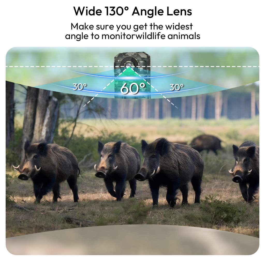 Solar Trail Cameras, Cellular Trail Cameras