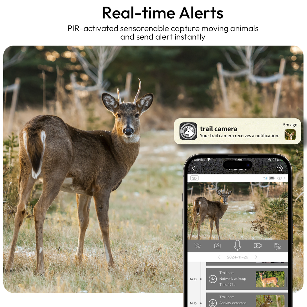 Solar Trail Cameras, Cellular Trail Cameras